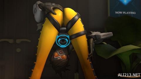 的惊艳数据 的惊艳数据