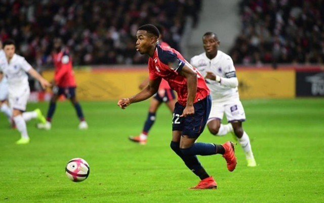 央视签约西 央视签约西