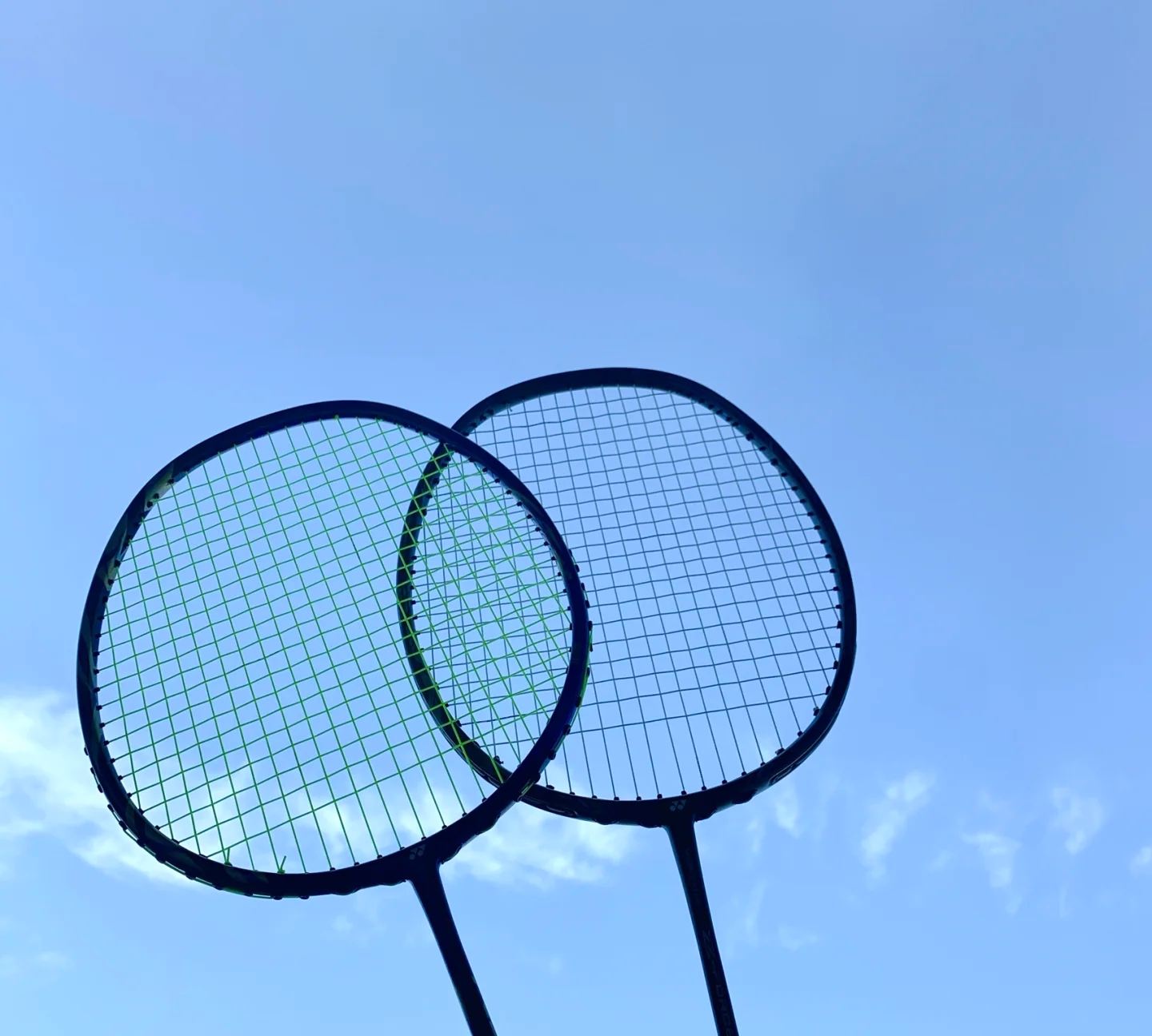 越下半河蟹 越下半河蟹